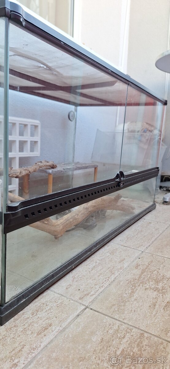 Terarium