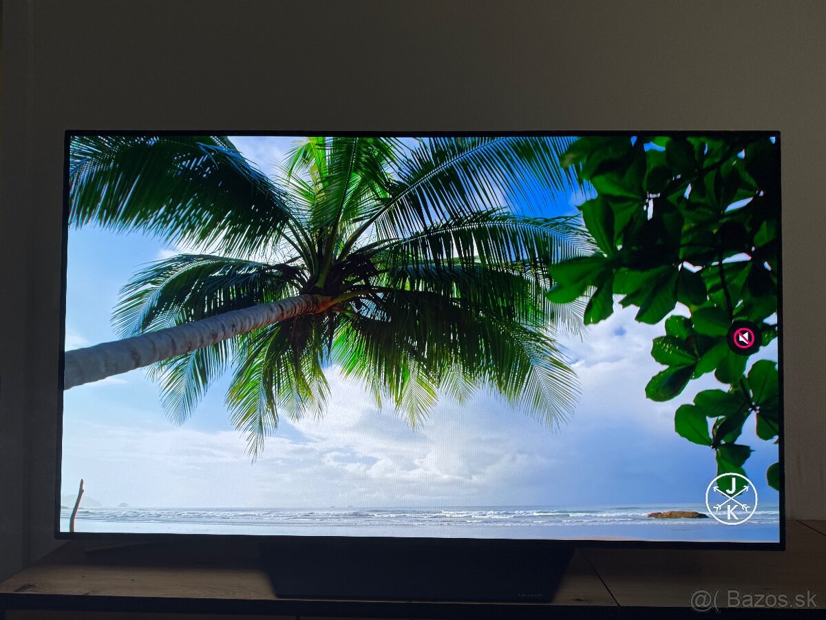 LG TV OLED55BX