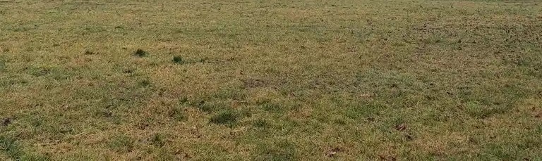 NITRA - / Chrenová /