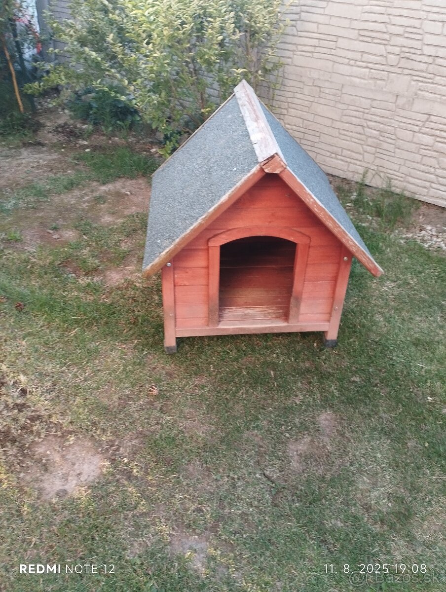Búda pre psíka