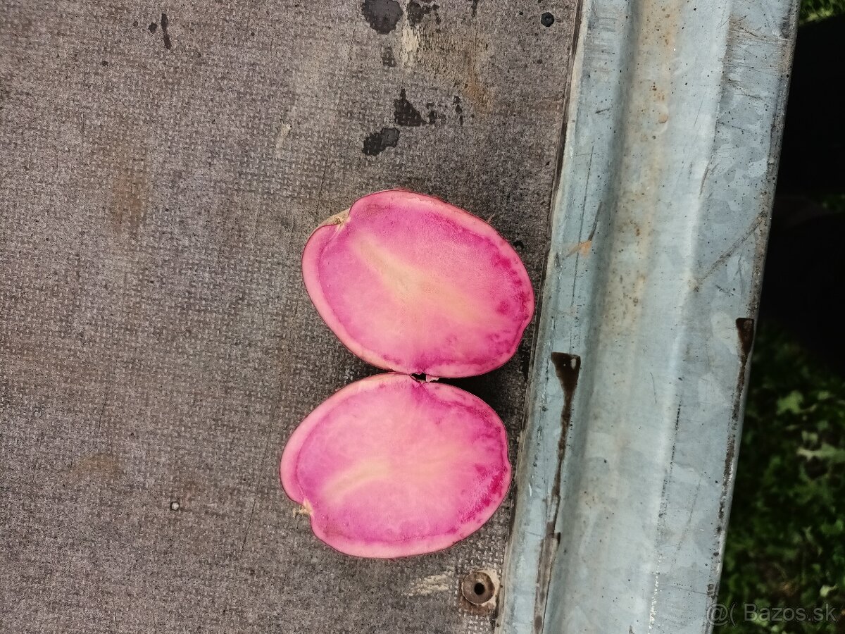 Predam konzumné a sadbové zemiaky