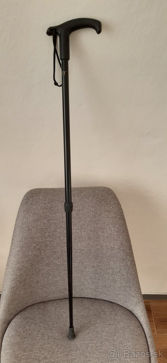 Vychádzková palica