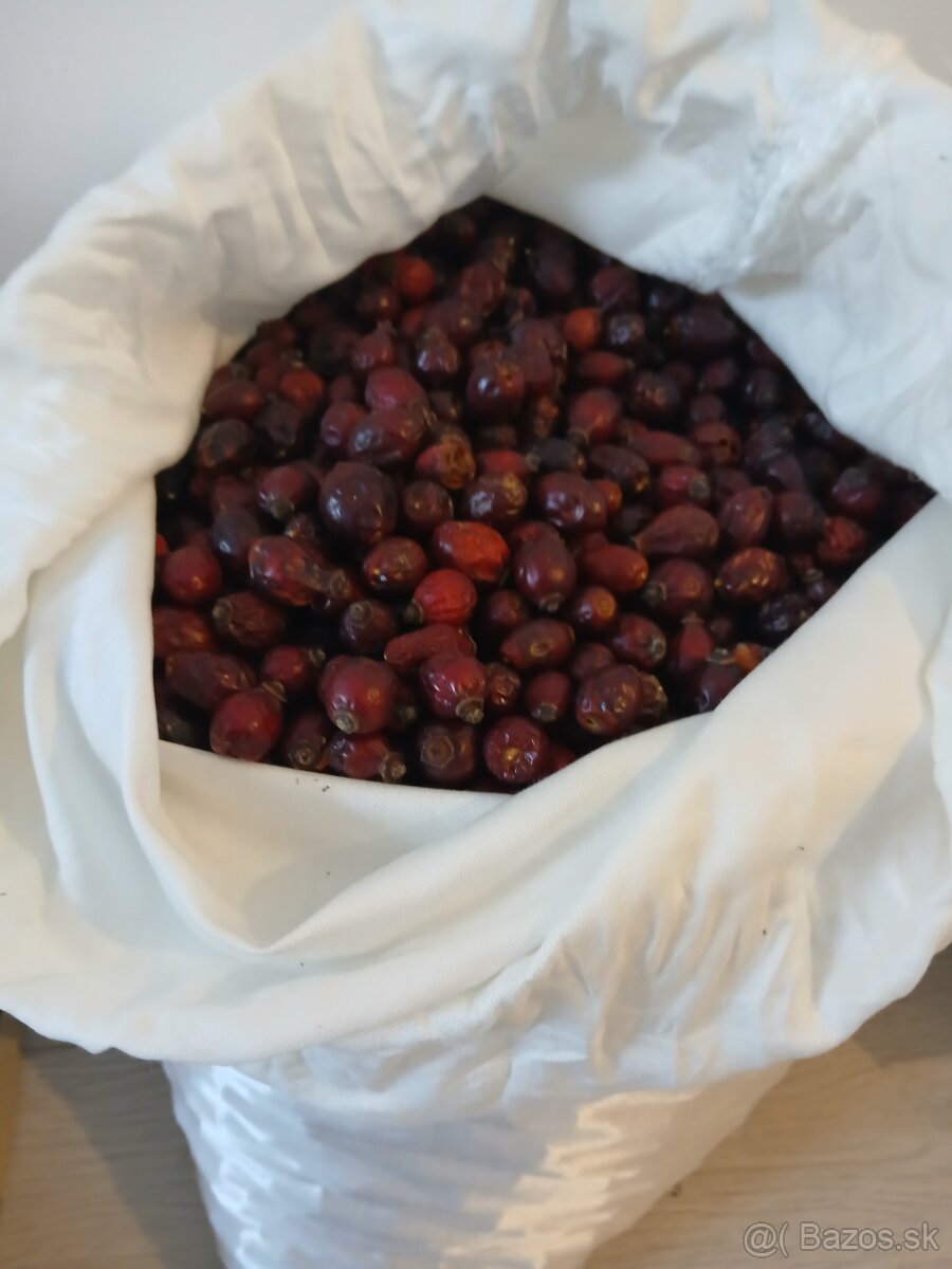 šípky tohtoročné sušené