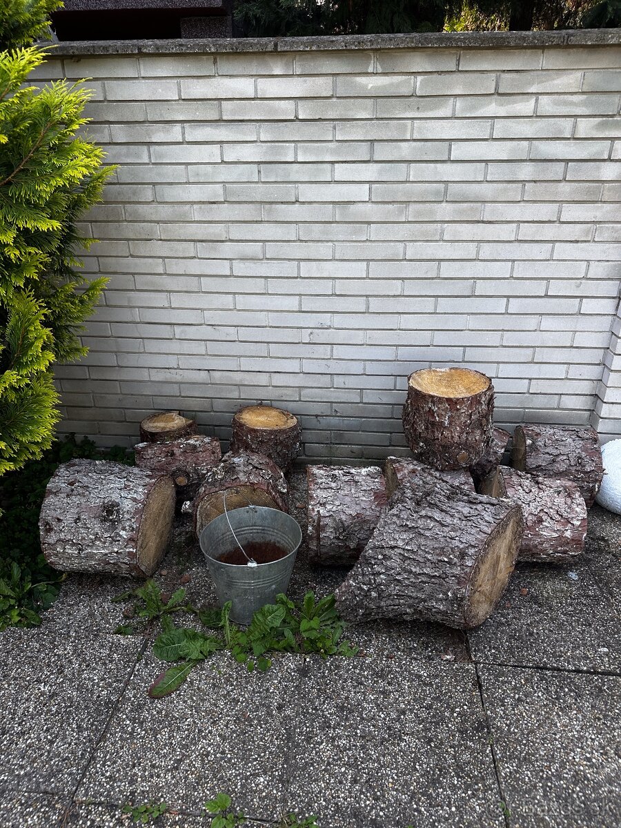 Darujem drevo za odvoz