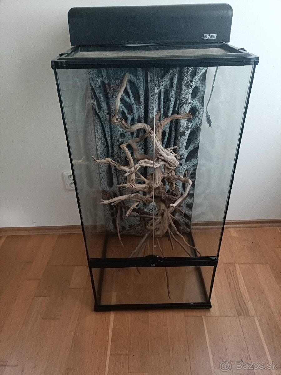 Terarium pre chameleóna
