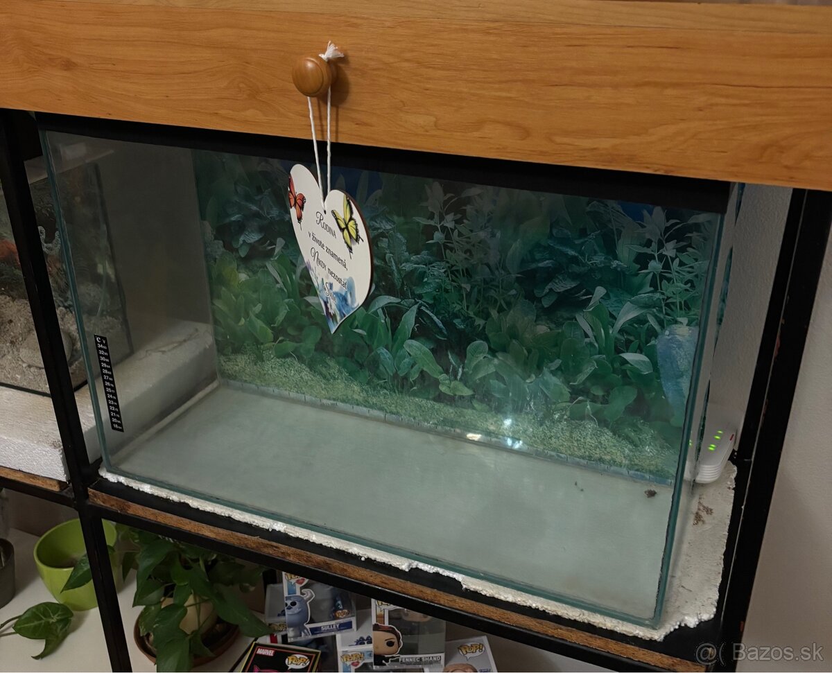 Akuarium 80l a 25l