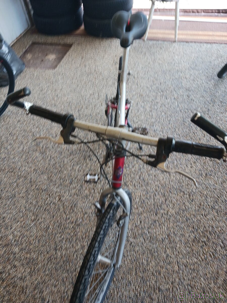 Cyklo