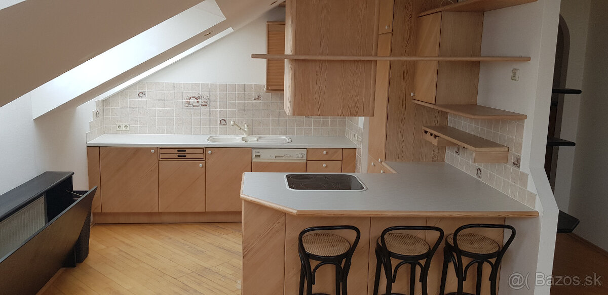 Krásny svetlý byt nad strechami Viedne