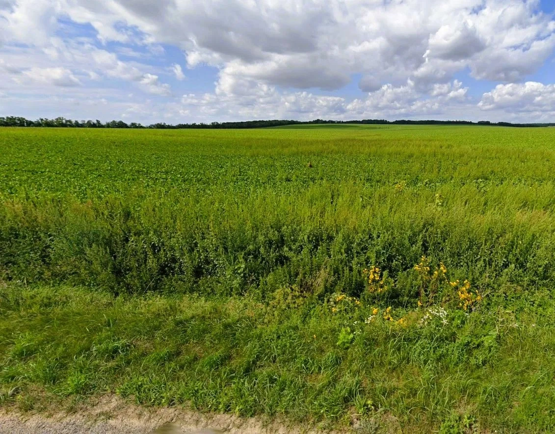 Predaj kvalitnej ornej pôdy v blízkosti obce Čifáre