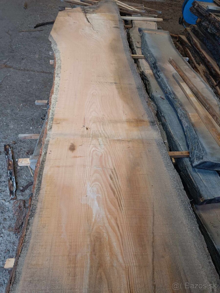 Japonská sophora - fošne