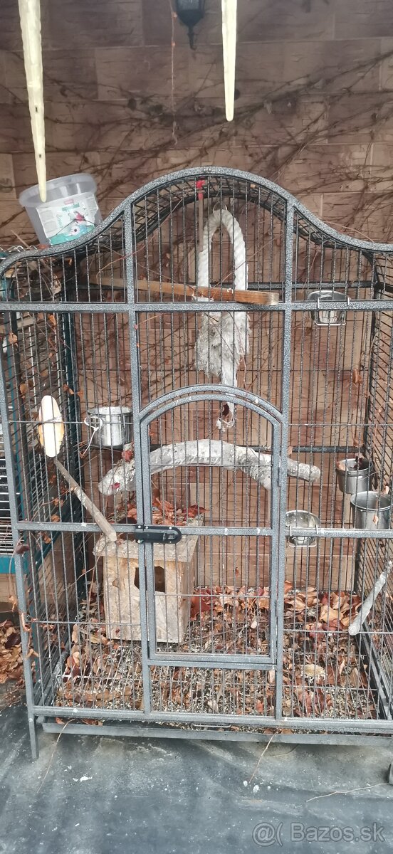 Predám klietku pre vtáctvo.