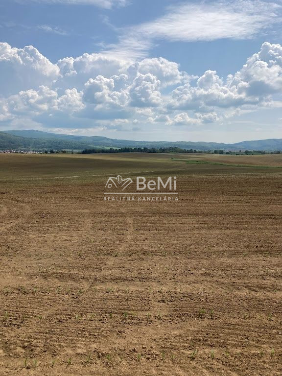 Rovinaté pozemky Sása, Zvolen