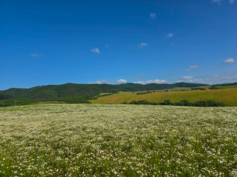 Slnečné pozemky v obci Podhorie