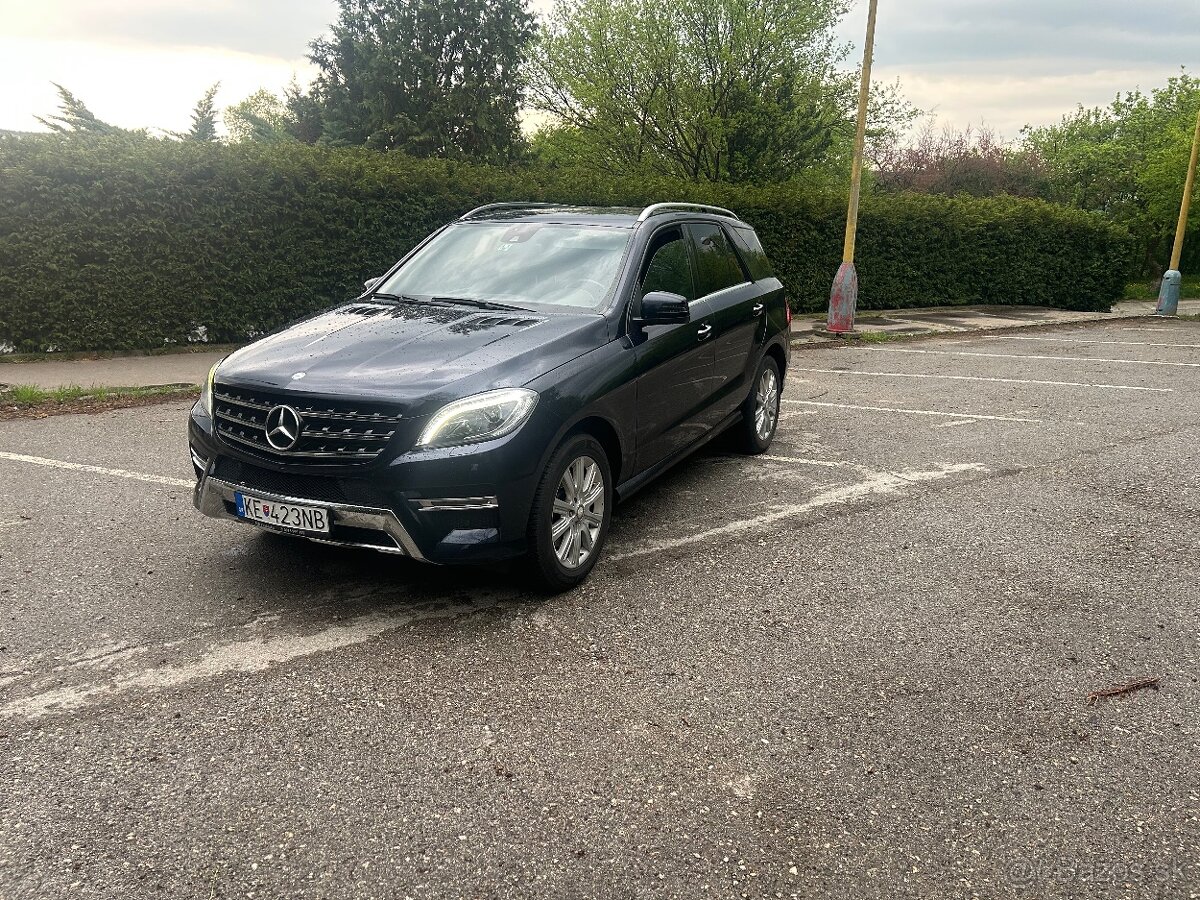 Mercedes Benz ML 220cdi 4matic