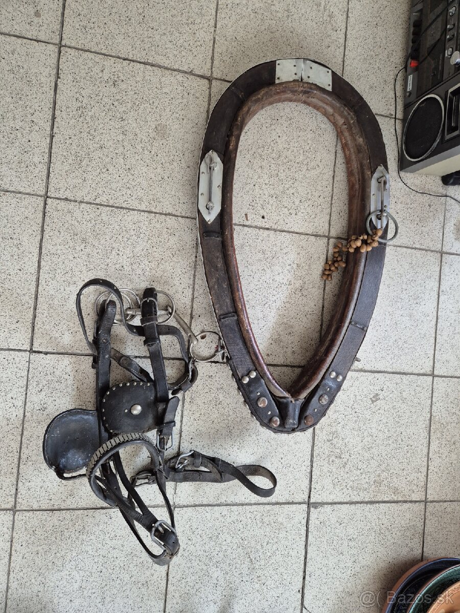 Predam chomut na kona a postroj