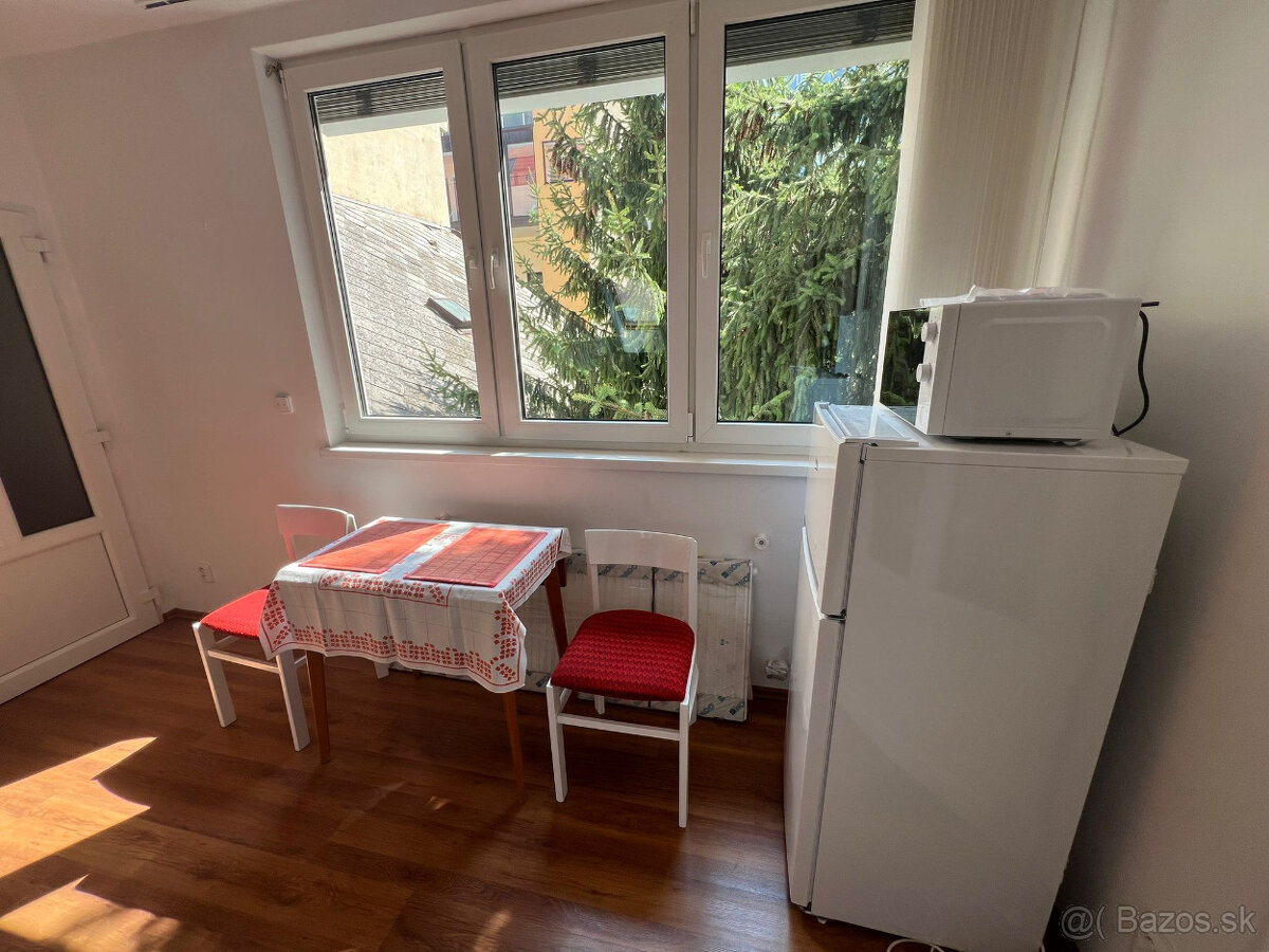 Prenájom 1 izb. bytu, 50 m2, na Ferienčíkovej ulici v St. M.