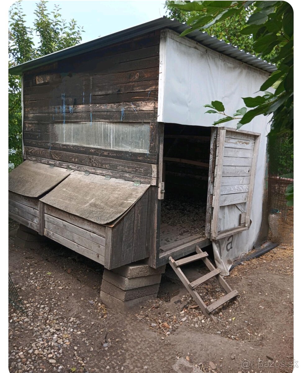 Predám kurin