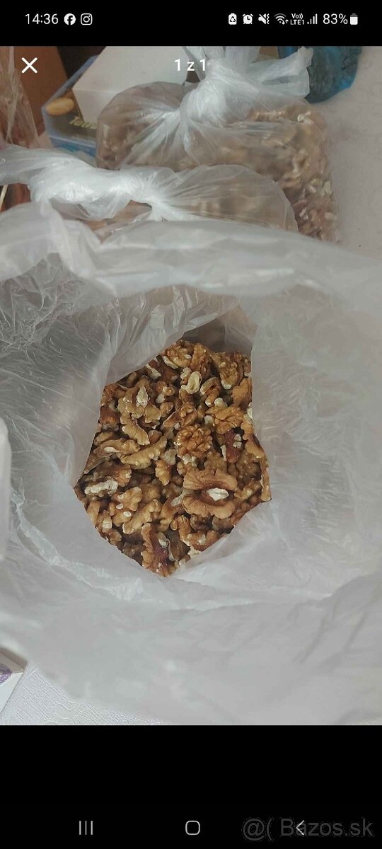 Orechy vlasske velke