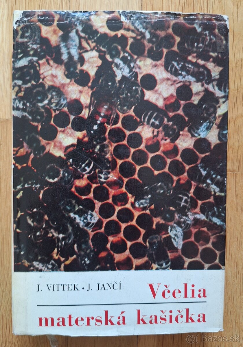 Vcelia materska kasicka