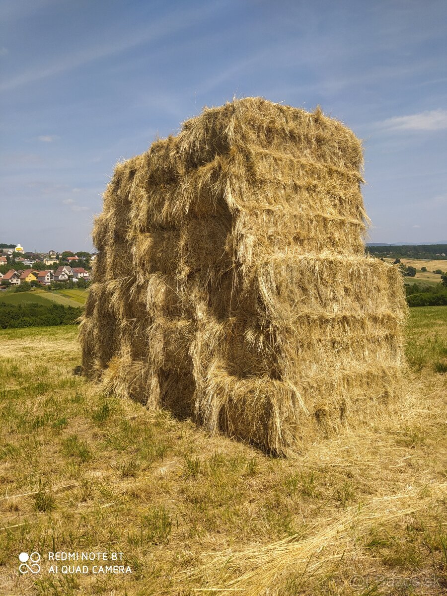 Predám balíkované seno a slamu