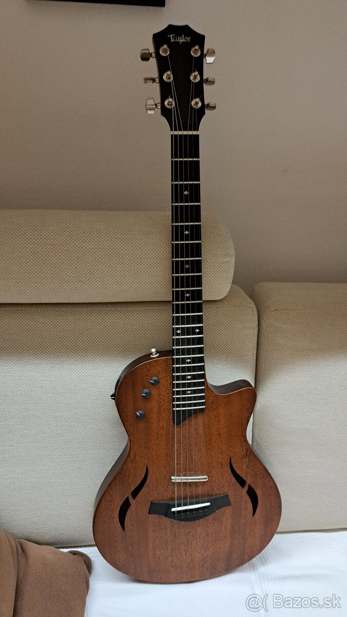 Taylor T5Z - USA