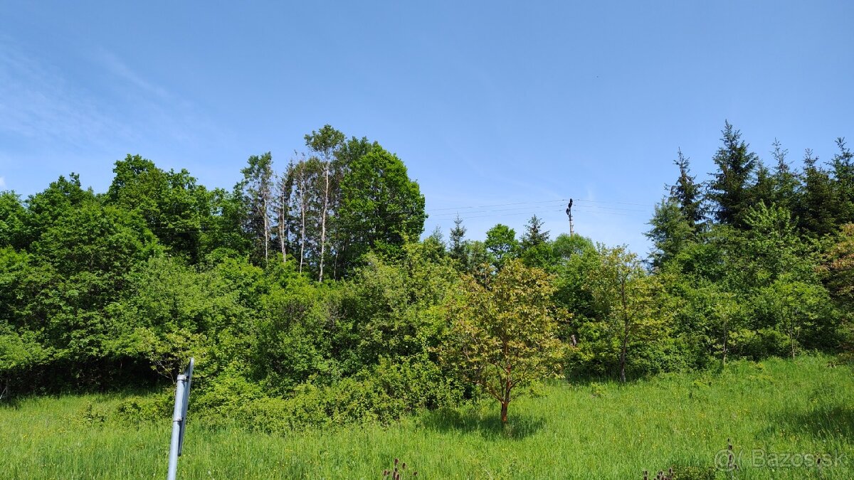 Predám rekreačný pozemok v Kolaroviciach pri Bytči - dohoda