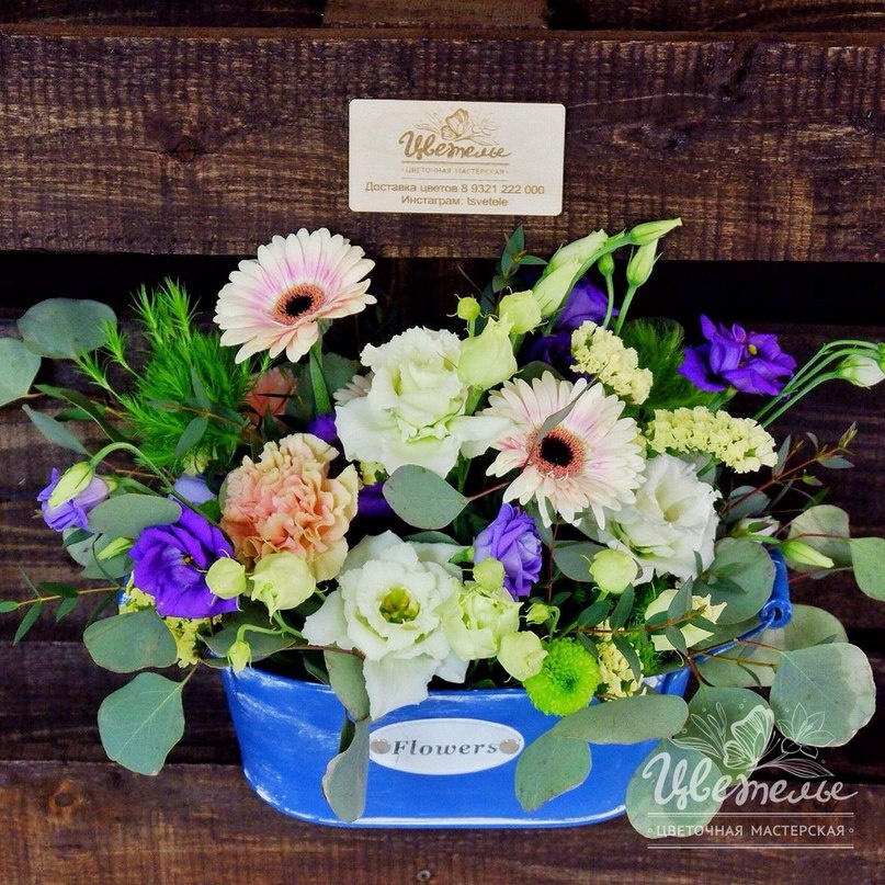 Hľadám prácu ako floristka/dekoratérka