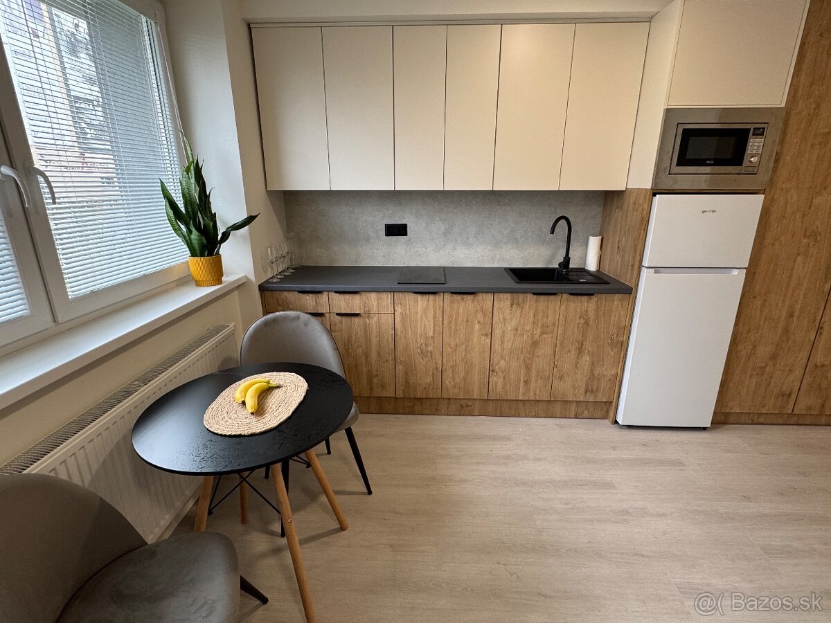 1 izbovy / studio apartment