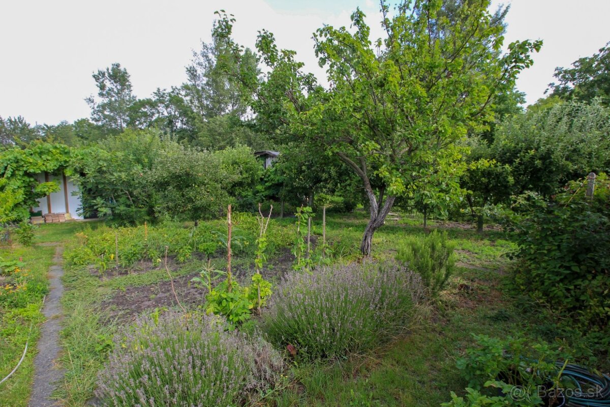NA PREDAJ – Pestovaná záhrada s chatkou v lokalite Žabí Maje