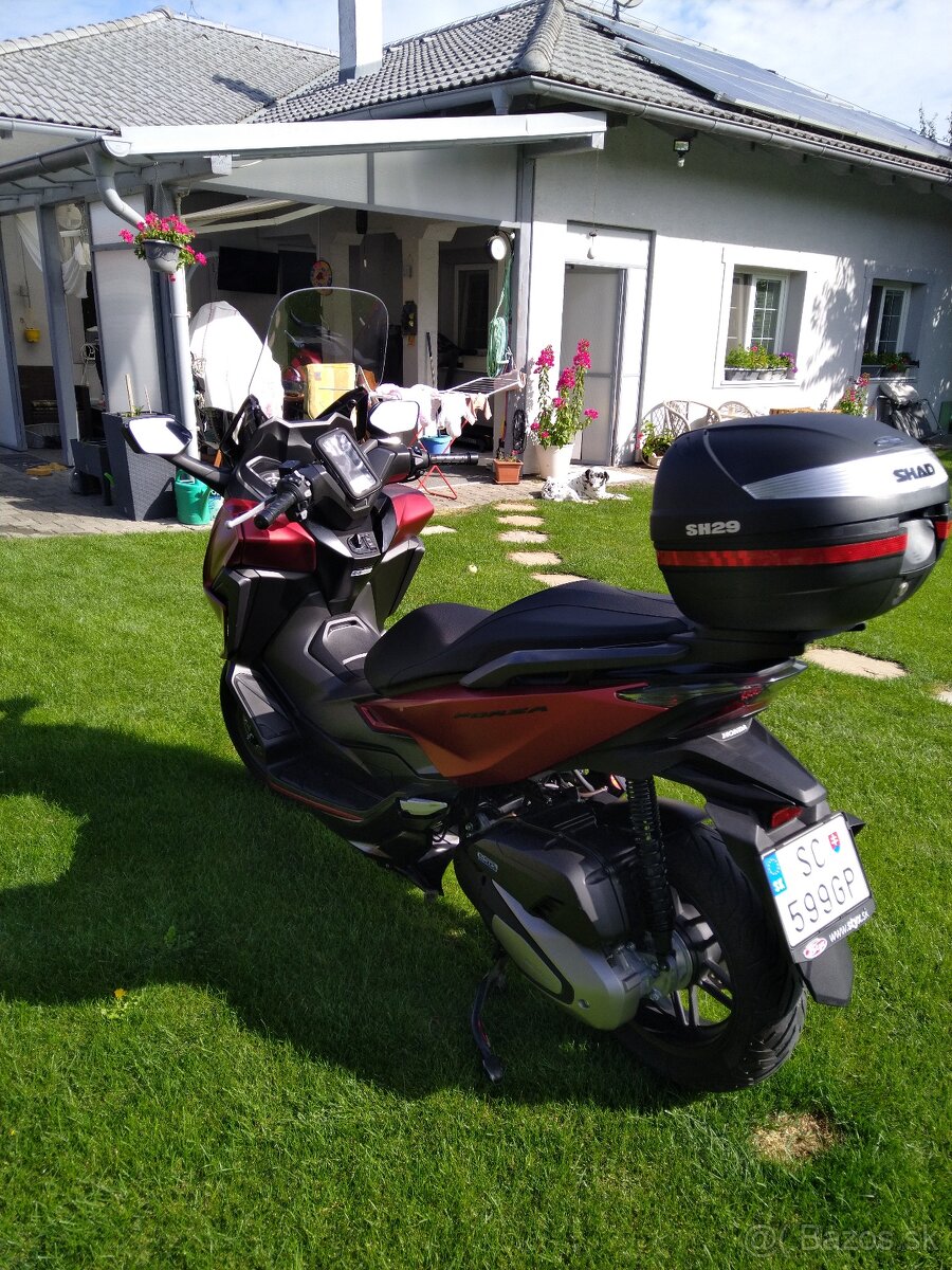 Honda forza125.