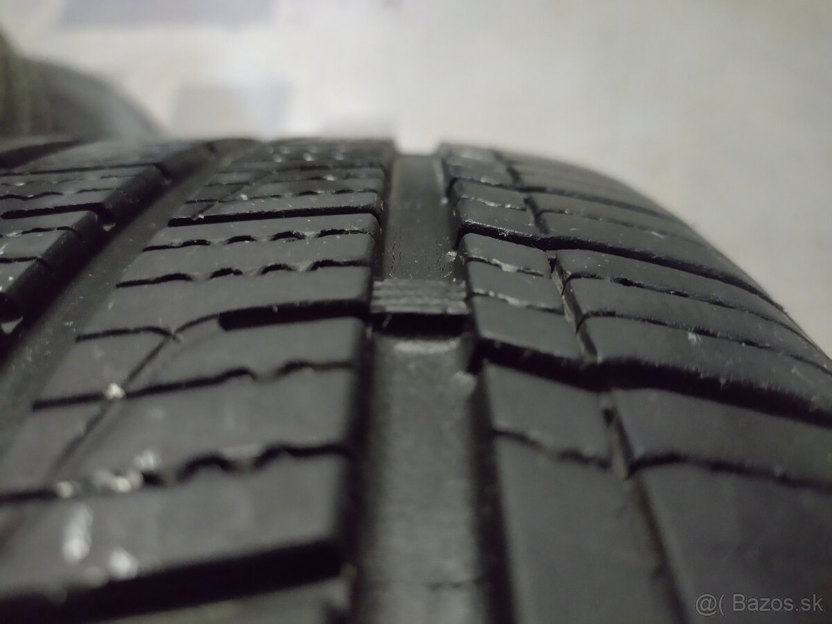 225/55 R17 101W celoročné