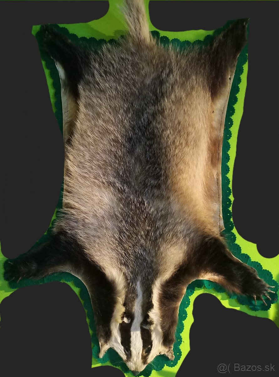 Preparáty jazvec  kuna