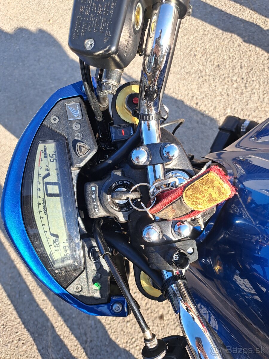 Honda Hornet