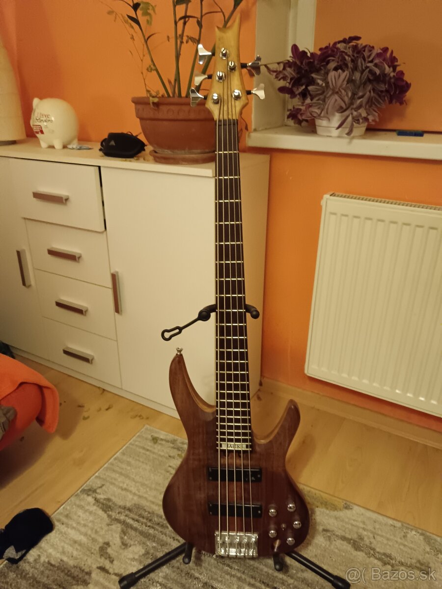 5-strunova basgitara