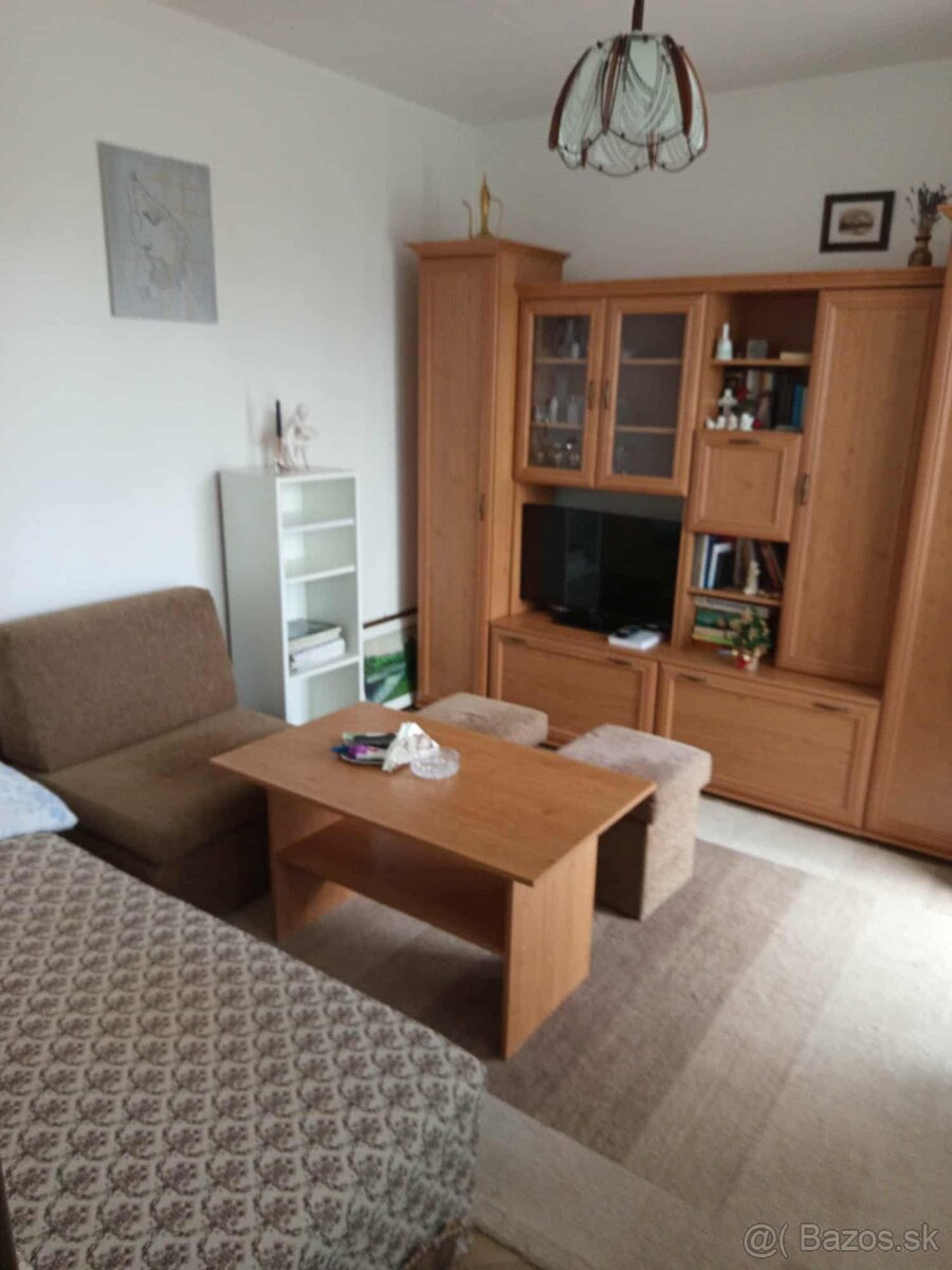 Prenajmem 1 izbový byt s lodžiou na Terase