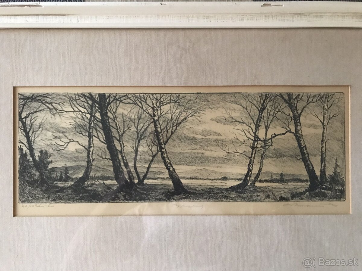 Ľudovít Križan Brezy