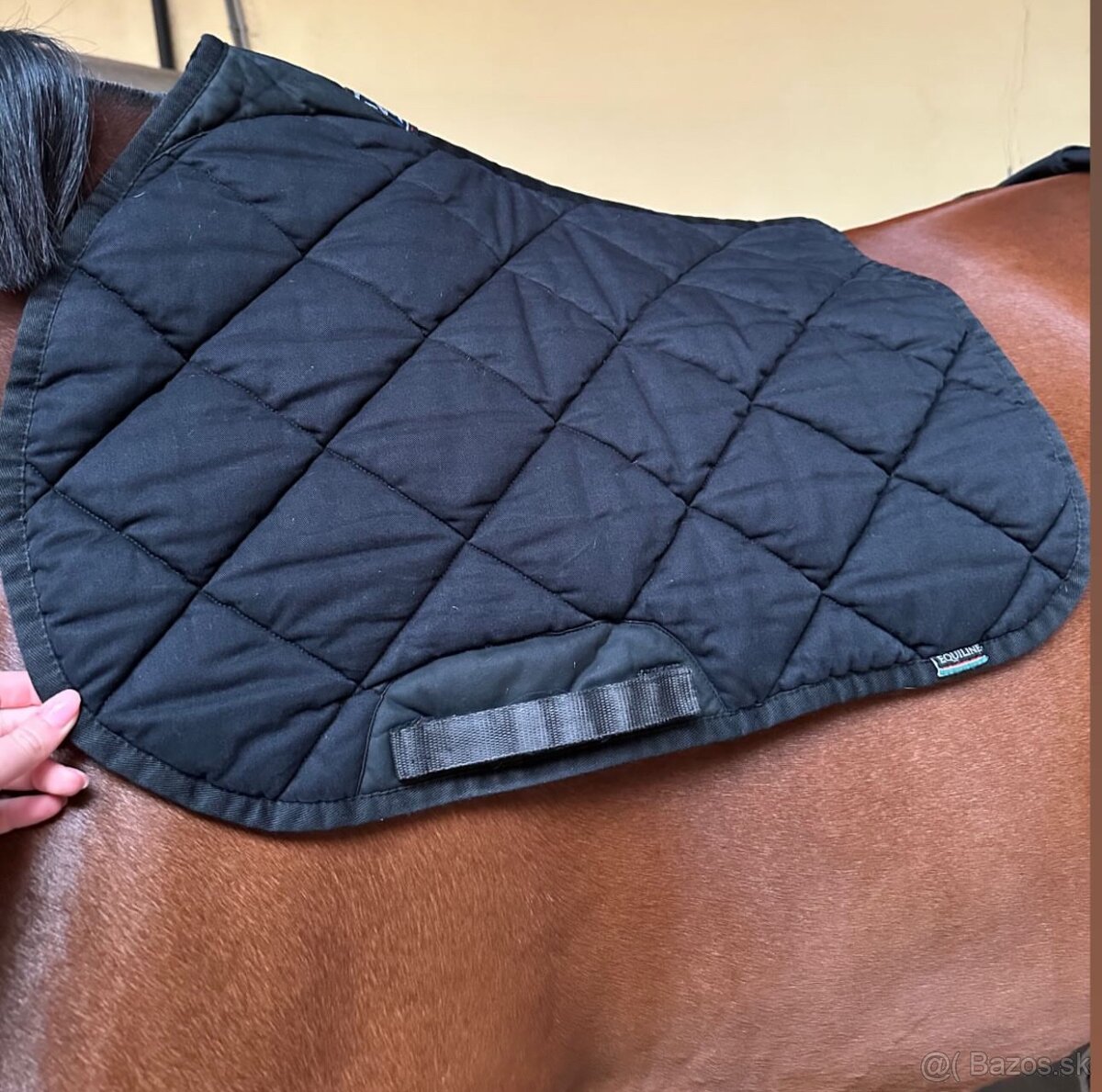 kentucky a equiline plstenky