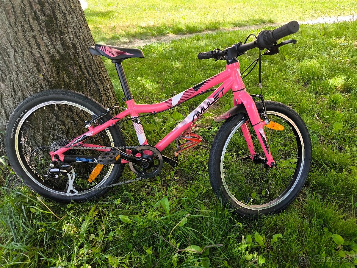 Bicykel Amulet Tomcat 20"