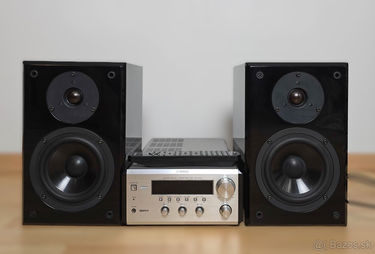 Yamaha RX-E600