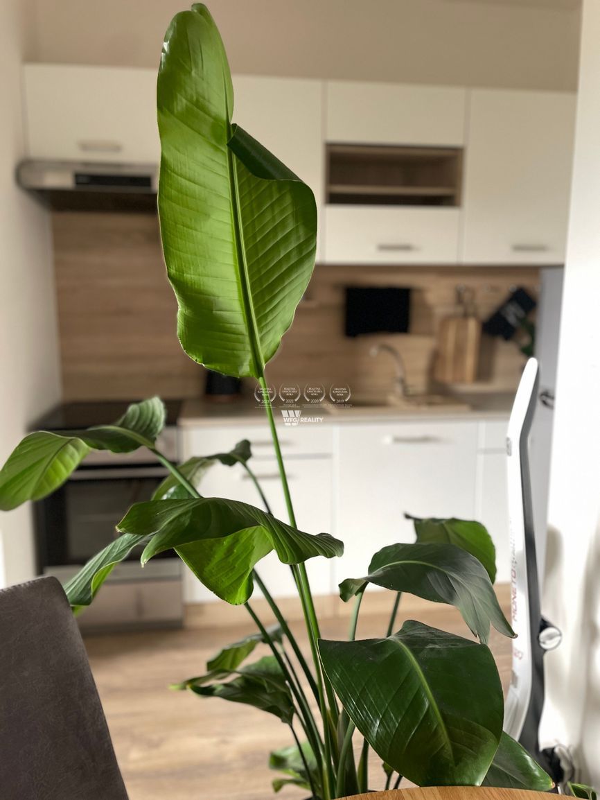 Na prenájom 2-izbový byt s veľkou terasou a parkovacím miest