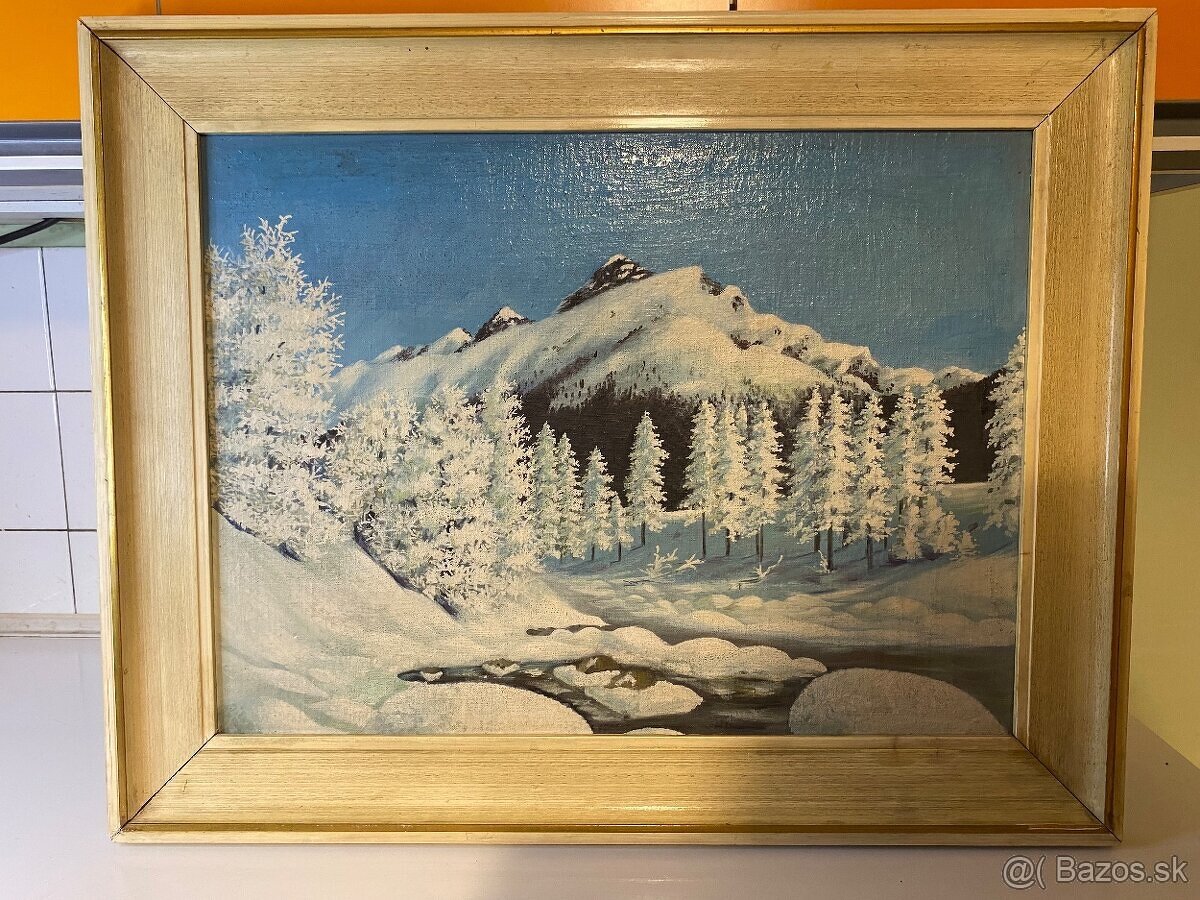 obraz Zasnežená krajina