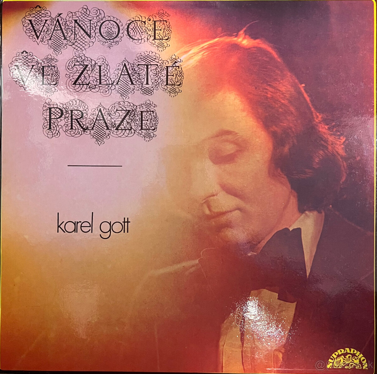 VIANOCNE LP PLATNE