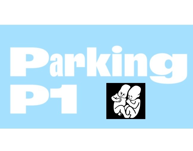 Pohoda festival P1 parking e-ticket