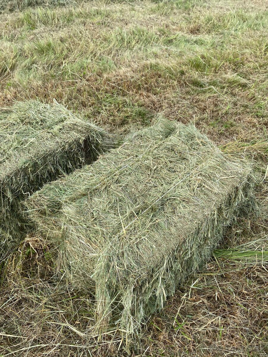 Seno v malých balíkoch