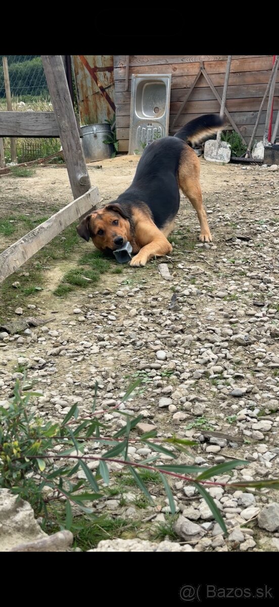 Darujeme fenku ❤️