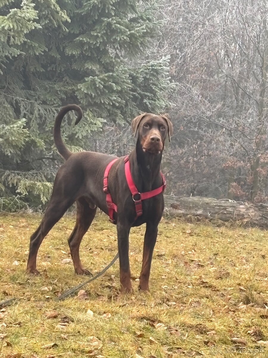 Len do dobrých rúk