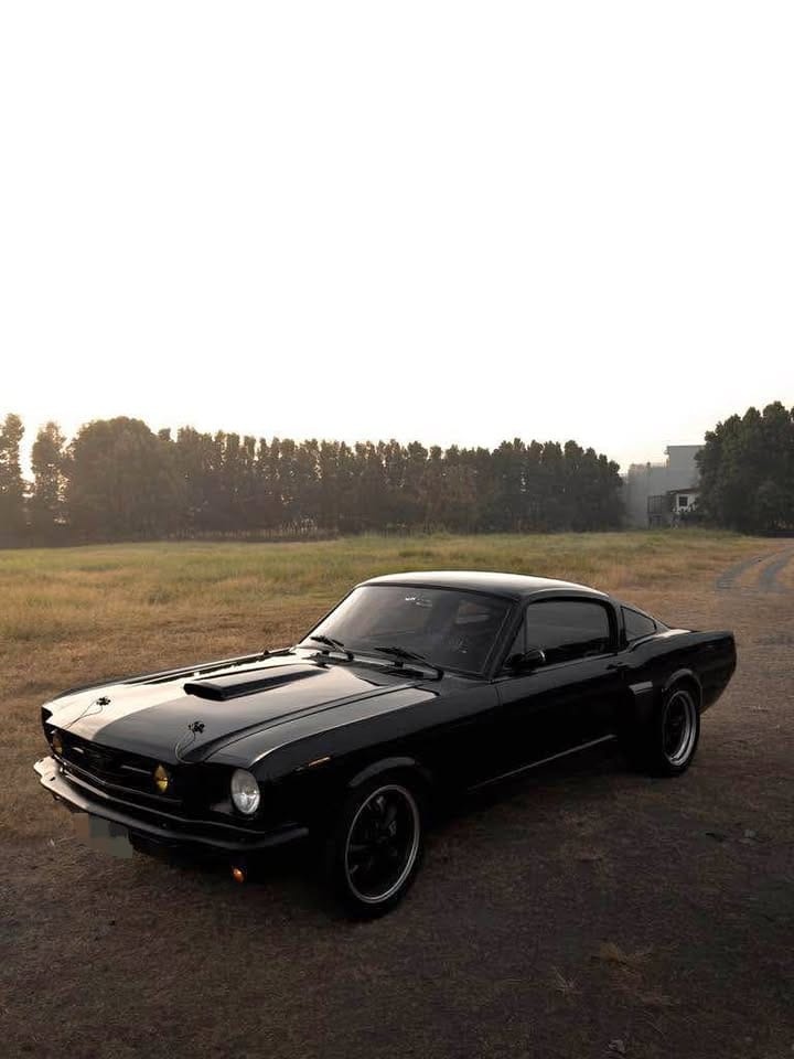 Ford mustang fastback V8