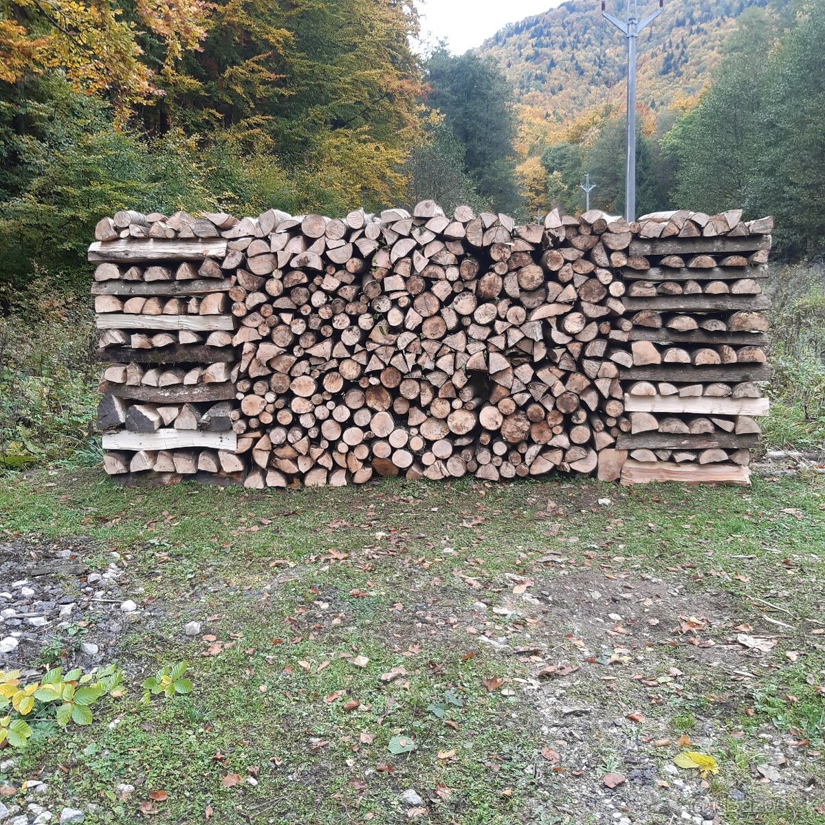 Palivové drevo