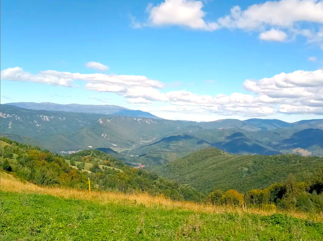Filier – 9.746 m2 LESNÉ POZEMKY v pozemkových úpravách