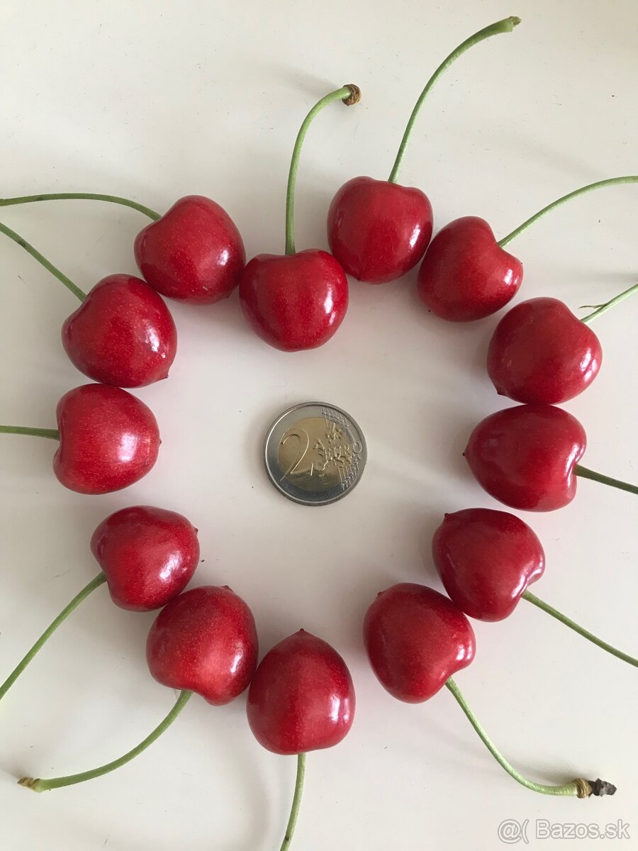 Predám čerešne bio srdcovky